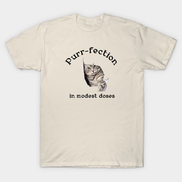 Cats T-Shirt by CatCoconut-Art